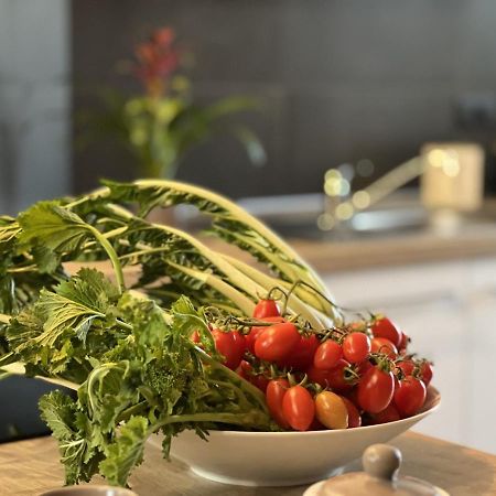 Family Inn San Maurizio Canavese ภายนอก รูปภาพ
