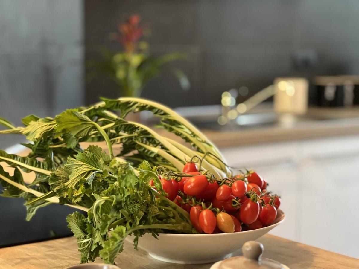 Family Inn San Maurizio Canavese ภายนอก รูปภาพ